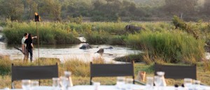 Sefapane Lodge & Safaris